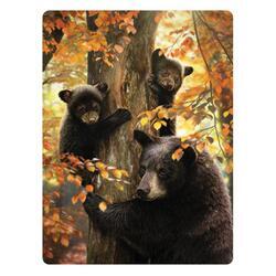 Pohlednice 3D 16cm - medvědi na stromě (25)