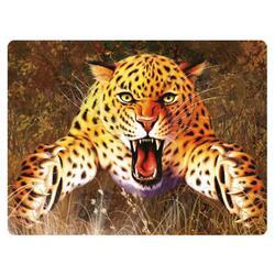 Pohlednice 3D 16cm - leopard (25)