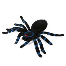 Pavouk černý velký fliska