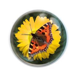 Magnet kulatý 5cm - motýl (12)