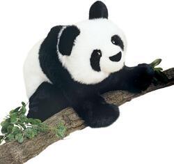 Panda plyš 34cm