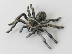 Pavouk plast 9cm