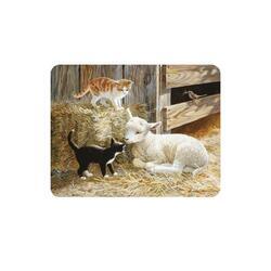 Magnet 3D 7x9cm - kočky s ovcí na seně (25)