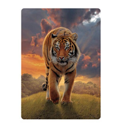 Pohlednice 3D 16cm - tygr hnědý (25)