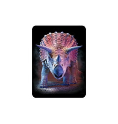 Magnet 3D 7x9cm - triceratops (25)