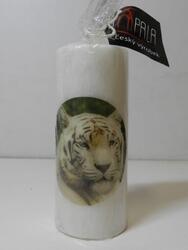 Svíčka válec tygr bílý 4,7x10cm