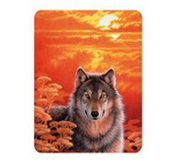 Magnet 3D 7x9cm - vlk při západu slunce (25)
