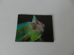 Magnet 3D 7x9cm - chameleon (12)