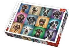 Puzzle Legrační psí portréty 1000dílků