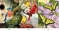 Malování podle čísel MINI-motýl+ptáčci