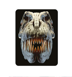 Magnet 3D 7x9cm - T-Rex lebka (25)