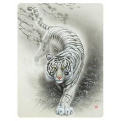 Pohlednice 3D 16cm - tygr bílý (25)