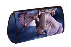 Pouzdro netopýr polyester 30x20cm(6)