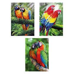 Obrázek 3D měnící 50x35cm - papoušci (16)