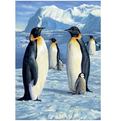 Obrázek 3D 30x40cm - tučňáci