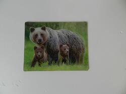 Magnet 3D 7x9cm-medvědí rodina