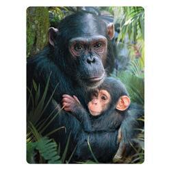 Pohlednice 3D 16cm - šimpanz s mládětem (25)
