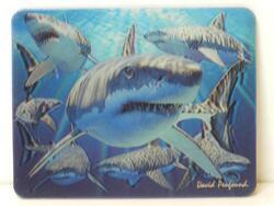 Magnet 3D 7x9cm - žraloci (25)