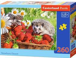 Puzzle ježek 260dílků