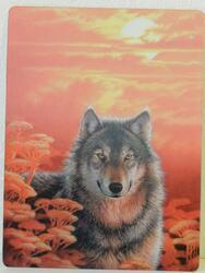 Pohlednice 3D 16cm - vlk při západu slunce (25)