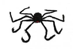 Pavouk velký plyš 125x8cm v sáčku 
