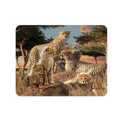 Magnet 3D 7x9cm - gepardí rodina (25)