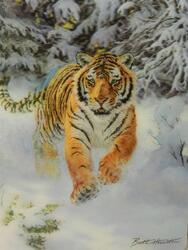Pohlednice 3D 16cm - tygr hnědý ve sněhu (25)