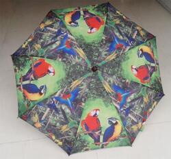 Deštník 87cm - papoušci(12)