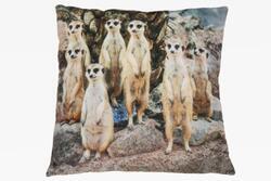 Polštář surikaty plyšový 35x35cm (3)