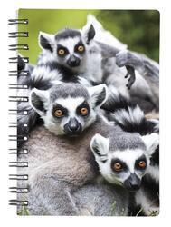 Notes 3D 9x13cm - lemur