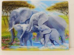 Pohlednice 3D 16cm - sloni (25)