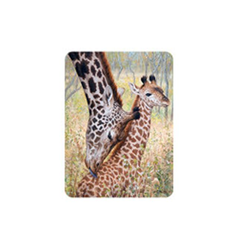 Magnet 3D 7x9cm - žirafa a mládě (25)