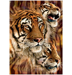 Obrázek 3D 30x40cm - tygr hnědý hlavy