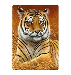 Pohlednice 3D 16cm - tygr hnědý ležící (25)