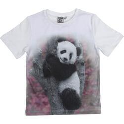 Dětské tričko panda mládě 6-7 let