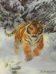 Magnet 3D 7x9cm - tygr hnědý ve sněhu (25)