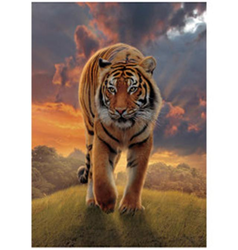 Obrázek 3D 30x40cm - tygr hnědý