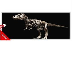 Záložka 3D s pravítkem 15,5 x 5,4cm - T-Rex - 2