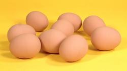 Hopík vejce 4,5cm (48) - 2